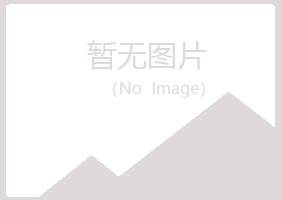 偃师曹培造纸有限公司